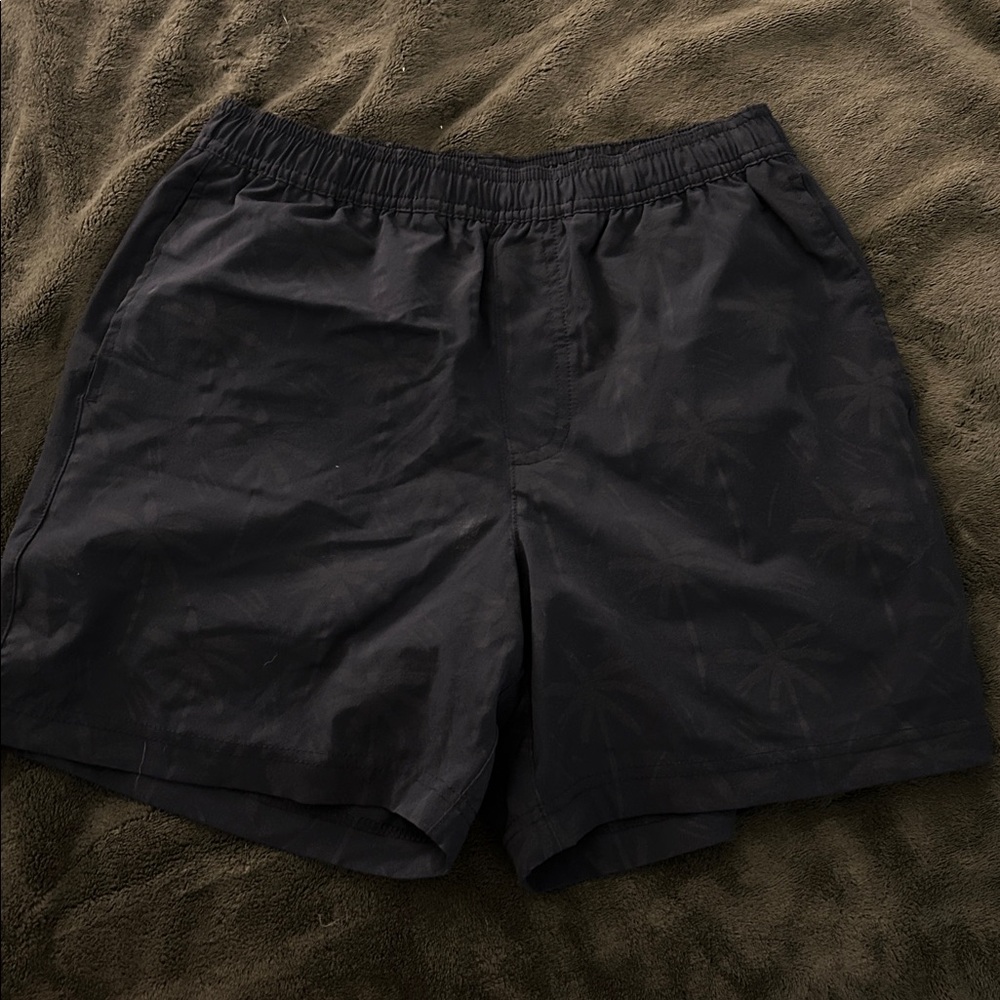 Chubbies Black and Blue Shorts